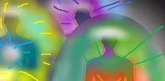 Créateurs de la Réalité